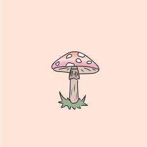 Meet your Posher, Ida